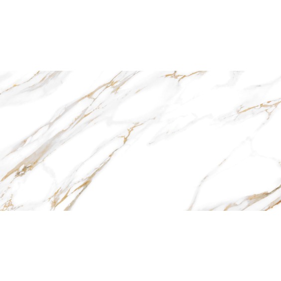 TWU09DBL004 плитка облицовочная Alma Ceramica Dublin 249*500 (12 шт в уп/80,676 м в пал) #15