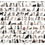 Панно Loymina Illusion vol. II Animals DA, 002