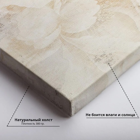 Интерьерная картина "Силуэт пионов" на холсте, большая, размер 30х45 см #4