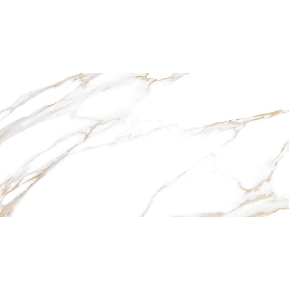 TWU09DBL004 плитка облицовочная Alma Ceramica Dublin 249*500 (12 шт в уп/80,676 м в пал) #8